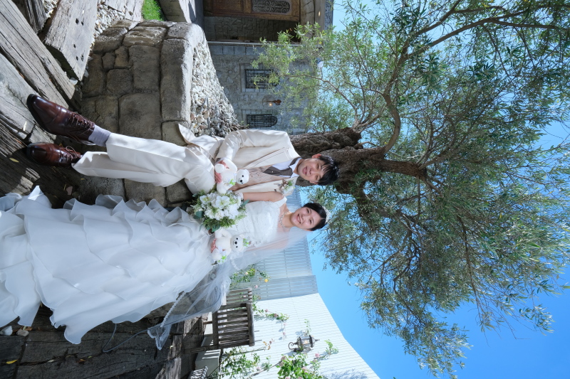 青空とオリーブの樹とぬいぐるみと♪