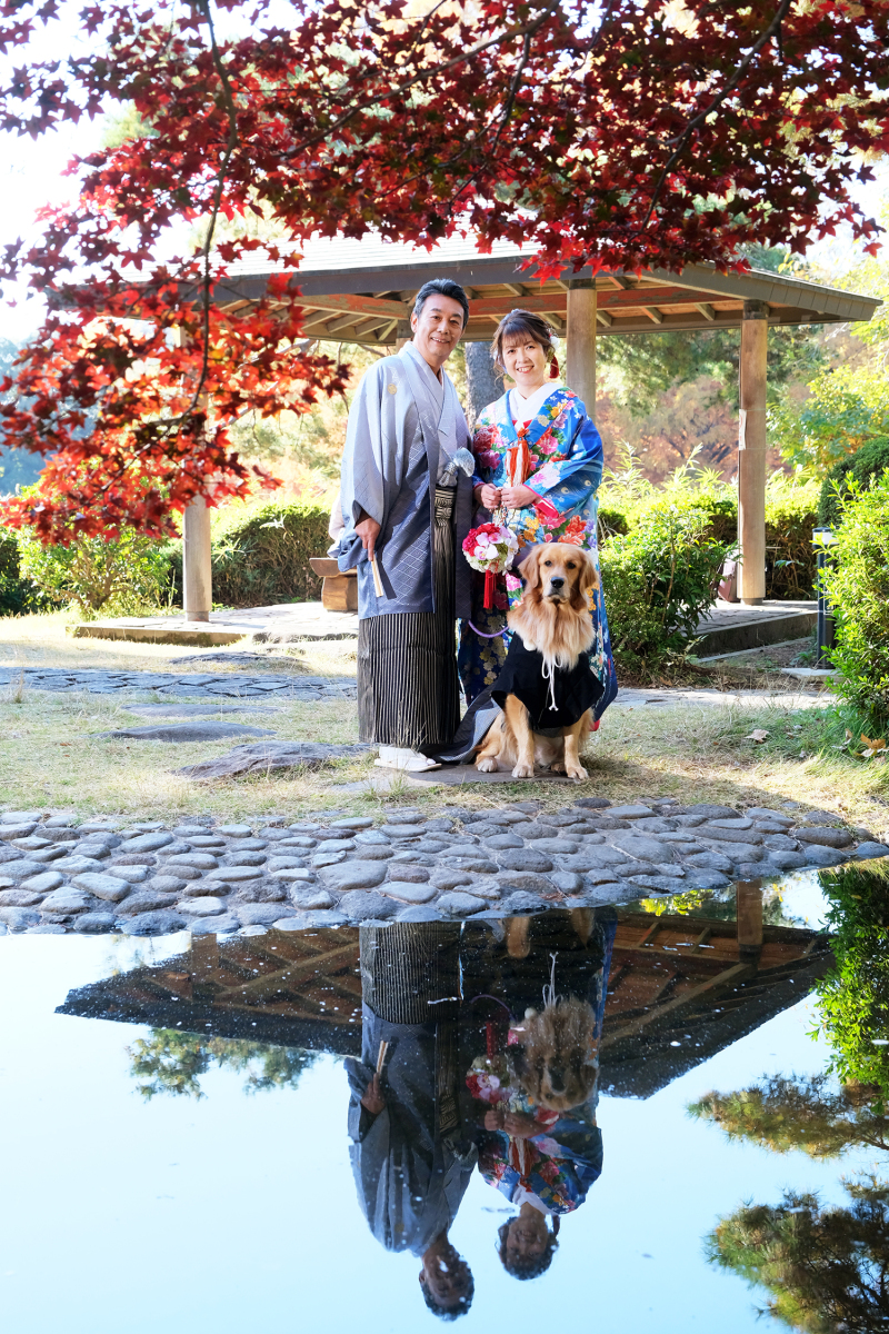 大宮公園×紅葉×色打掛×わんちゃん