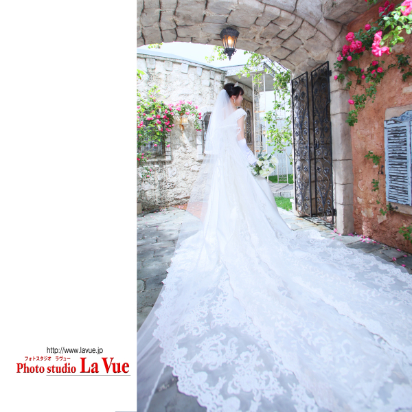 アクアアルバム裏表紙