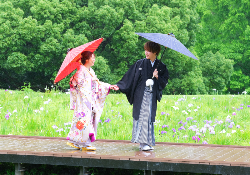 ＊大宮第二公園菖蒲＊