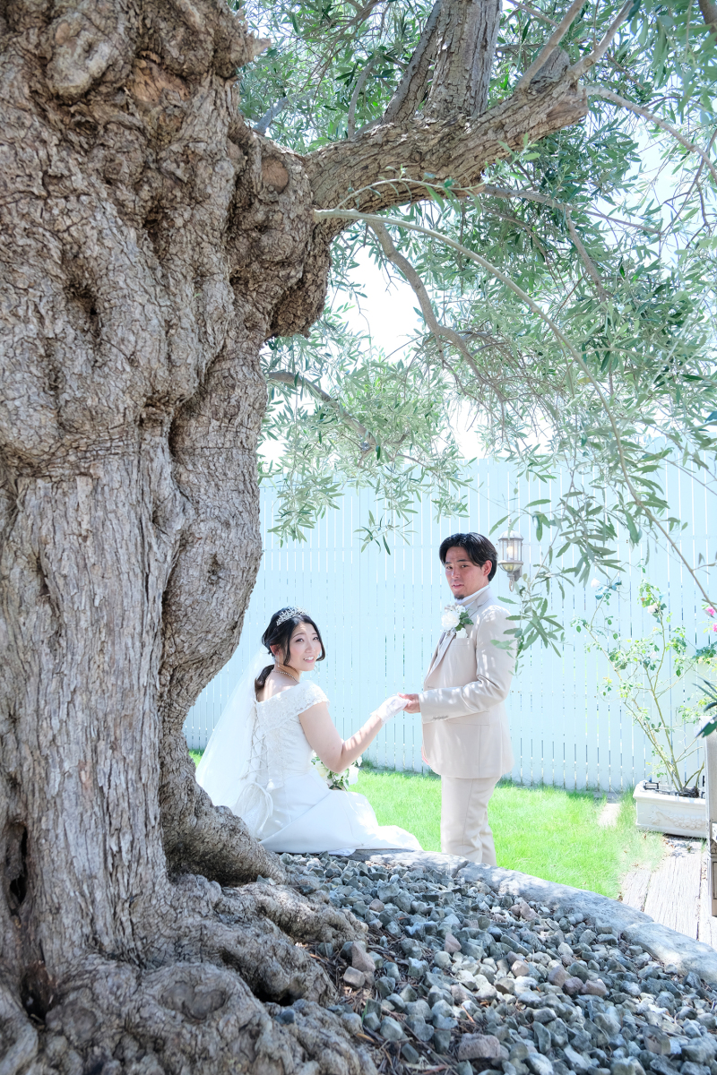 *樹齢200年の太い幹とともに*