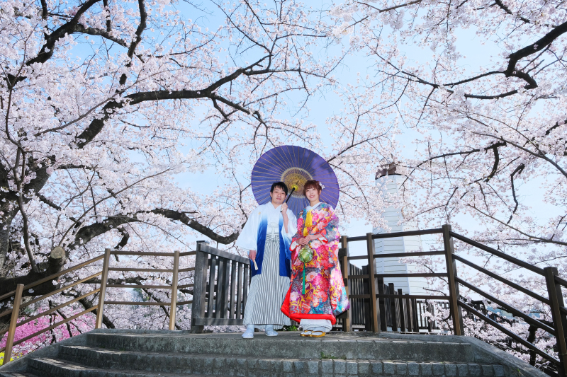 ＊桜がすてきな舞台のよう＊