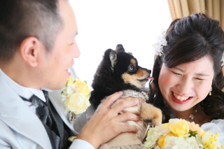 ＊和洋装コース＆Fアルバム＊