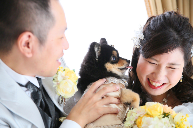 ＊和洋装コース＆Fアルバム＊