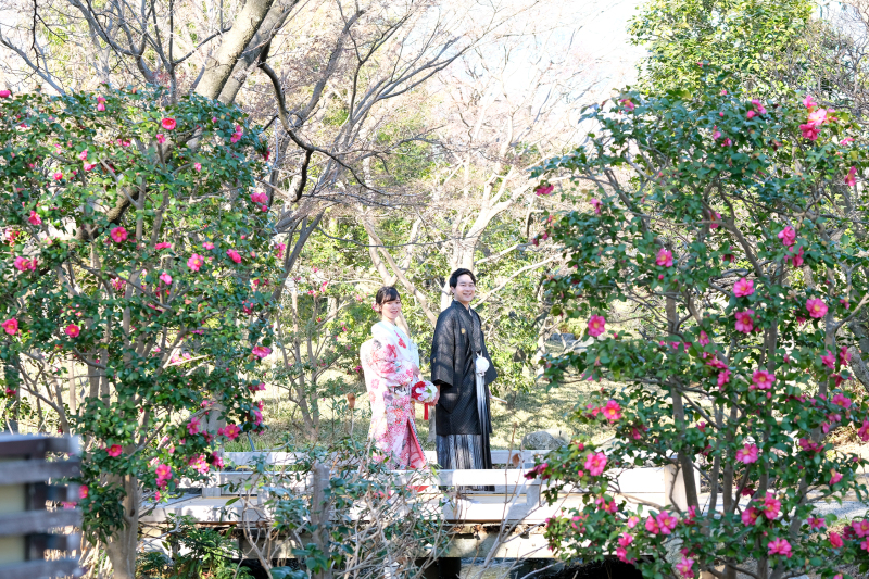 山茶花のある風景