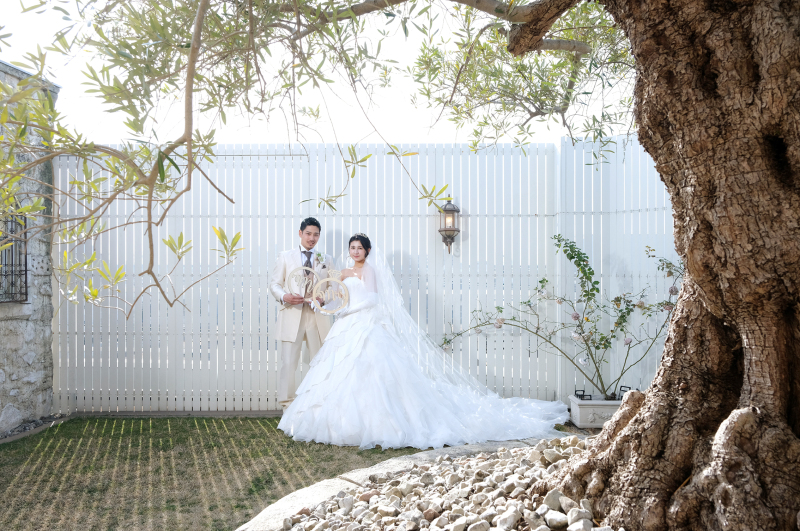 オリーブの木とともに。。。