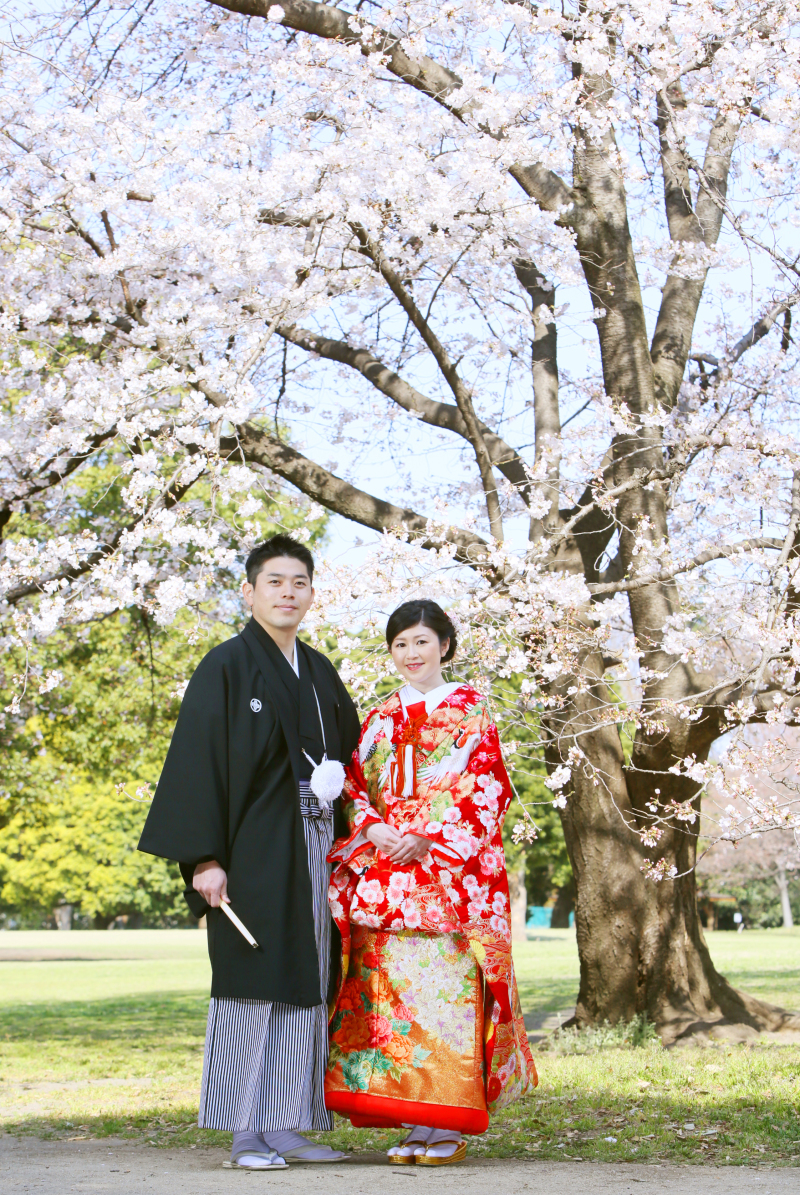 和装といえば桜。。。