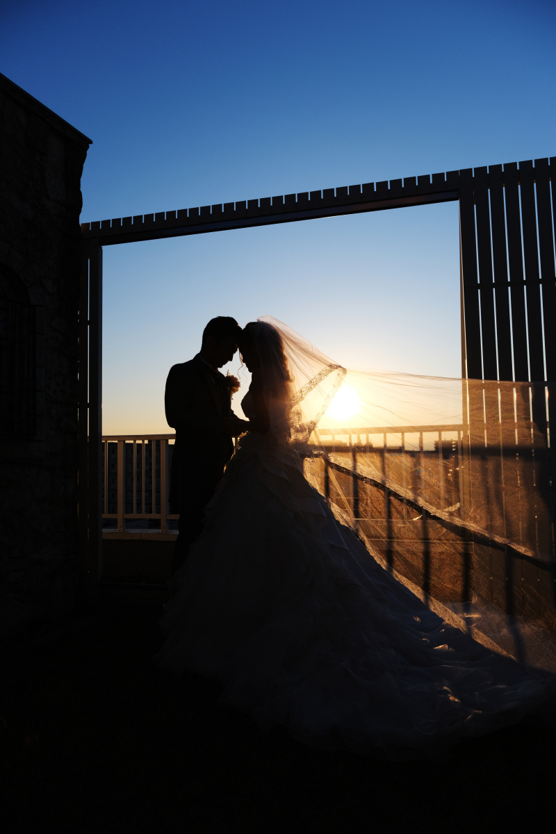 洋装＆ペット＆Night