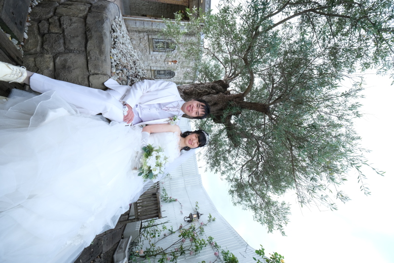 樹齢200年のオリーブが粋です♪