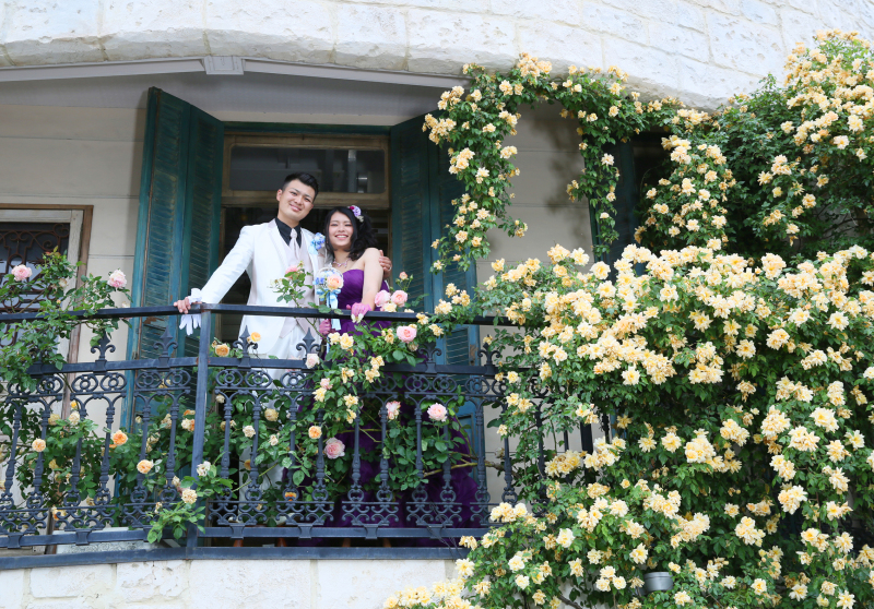 ＊＊＊5月のバラ＊＊＊