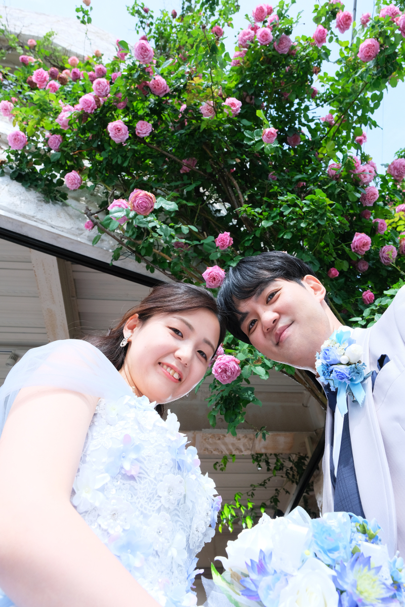 バラが咲き誇っています！Lucky！！