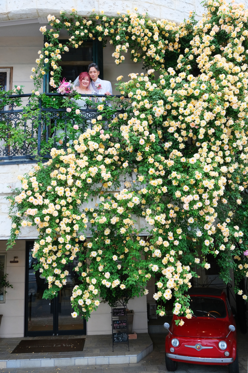 ＊満開のバラ＊