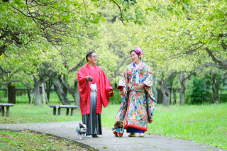 和装2着&times;洋装2着&times;ペット&times;ロケ