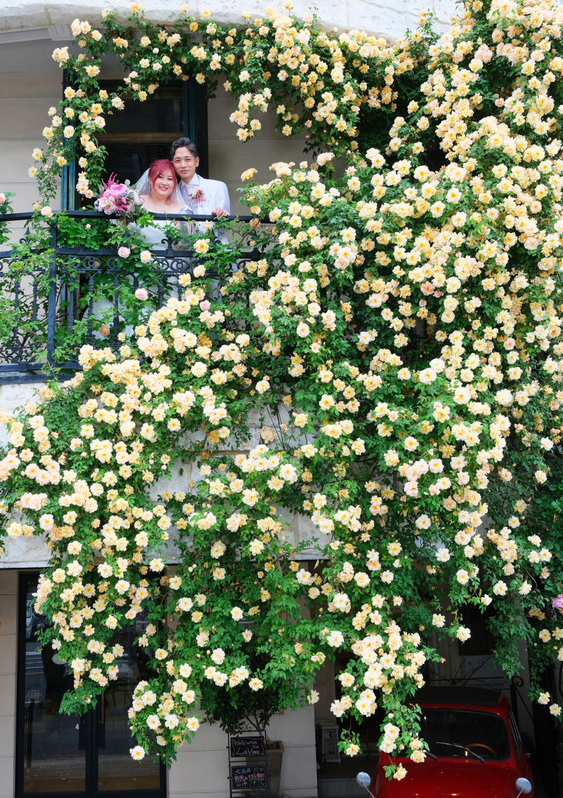 フォトスタジオラヴュー本店