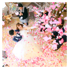 ALLCDご注文のみなさまへムービープレゼント