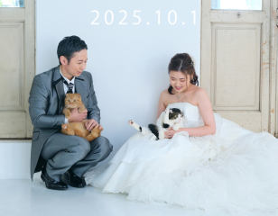 ムービープレゼント