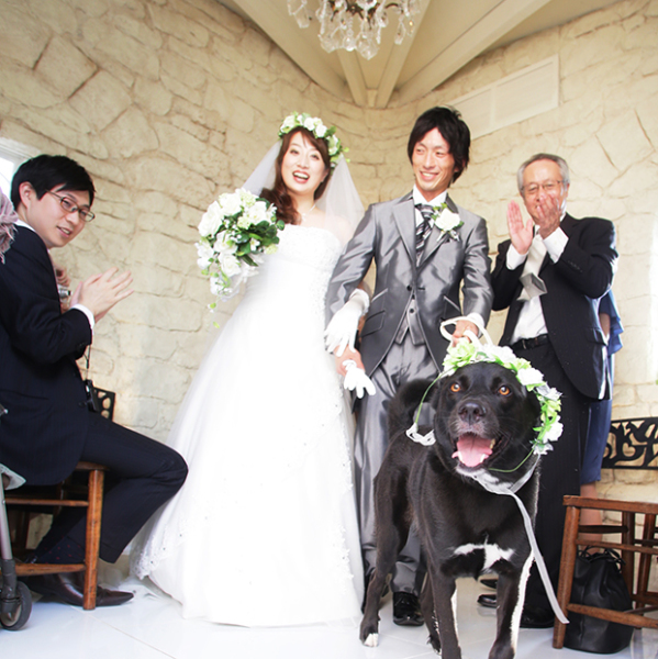 *ご家族、愛犬までご参加いただけます*