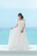 オーバードレス 