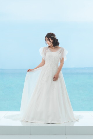 オーバードレス 