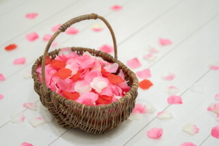 フラワーシャワー　レッド