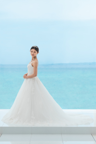 【KS-H4】（IN-20）