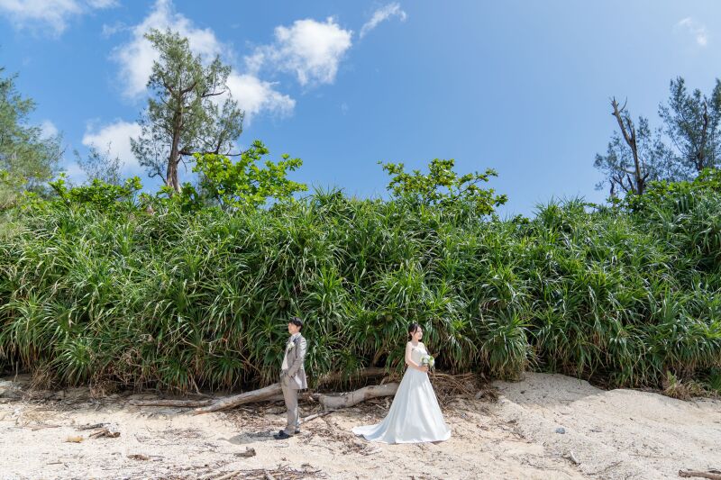 グリーンバック