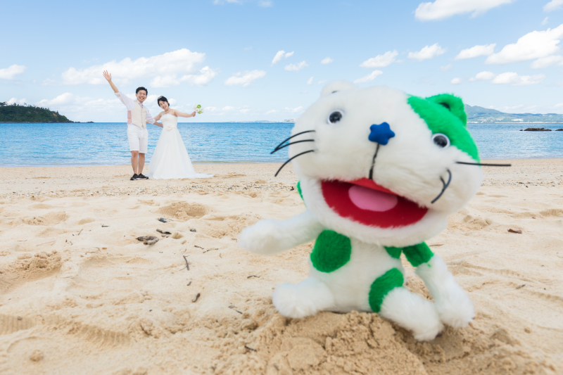 可愛い撮影小物