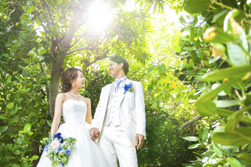 幻想的なフクギ並木ショット