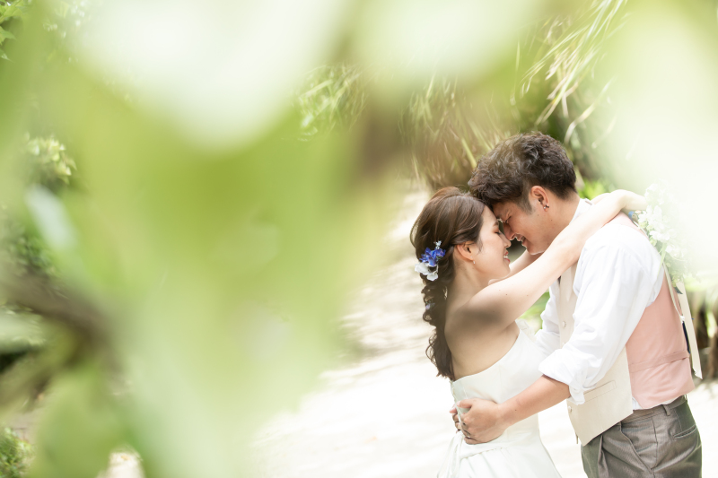 柔らかい太陽の光