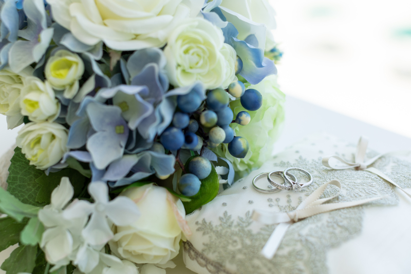 担当スタッフより