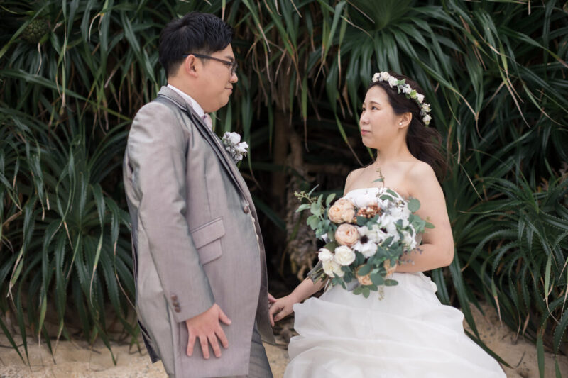 グリーンバック