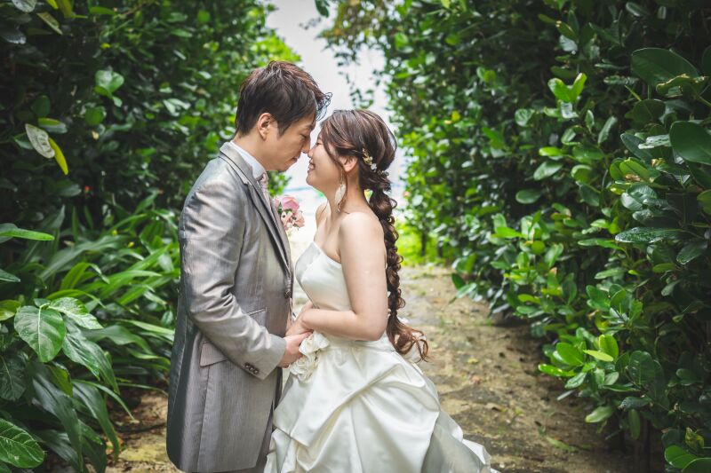 海につづくフクギ並木