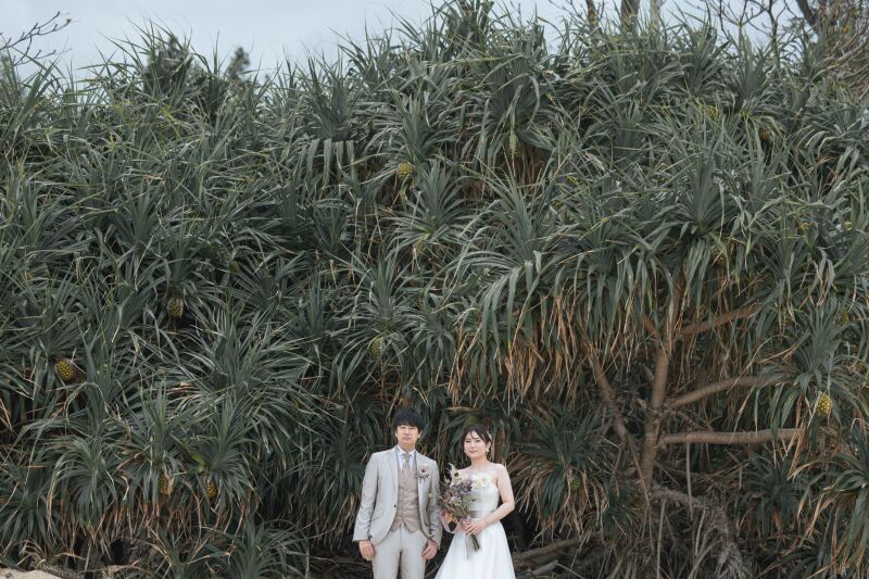 グリーンバック