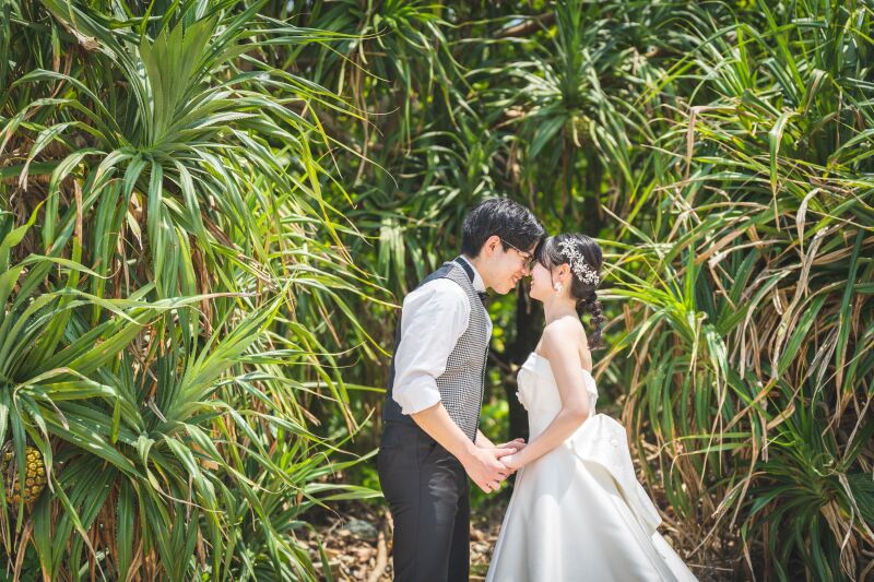 グリーンバックに