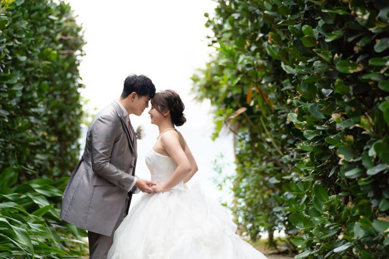 ふくぎショット