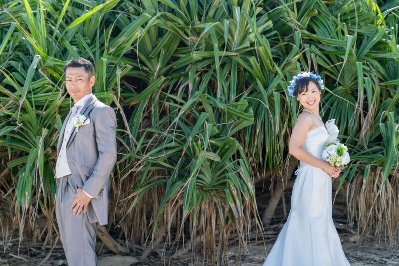 グリーンバック