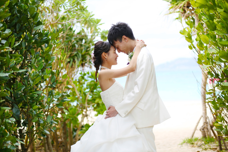 沖縄の思い出にフクギ並木も