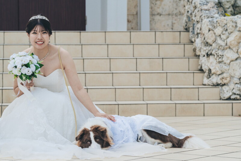 【ペットフォト】1日1組/平日限定*愛犬と一緒にフォトウェディング☆彡|チャペル+ガーデン+ビーチ100カット