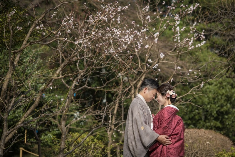 ほんのり咲いた桜の下で❀