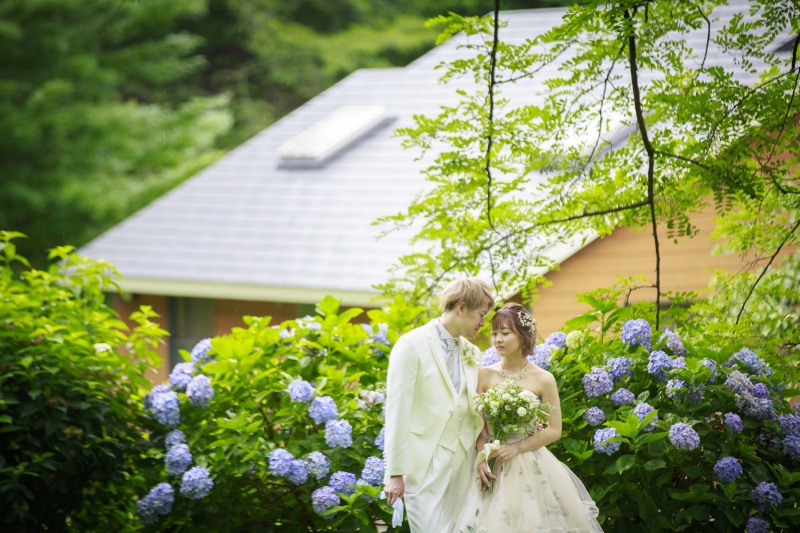 紫陽花をバックに