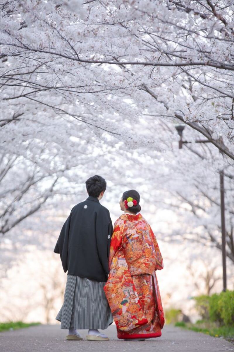 桜のトンネル❀