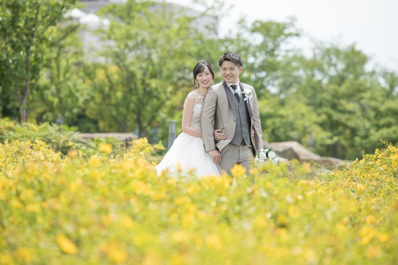 綺麗なお花が咲いていました!