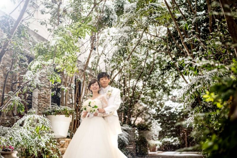 雪が幻想的な雰囲気に