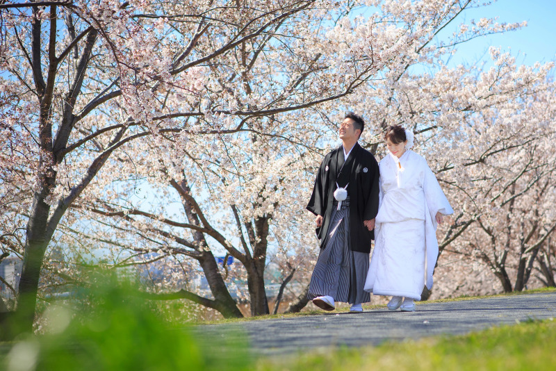 Angel Studio 新宿_白無垢が豊富