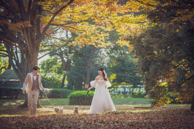 Point1 多彩な撮影シーン