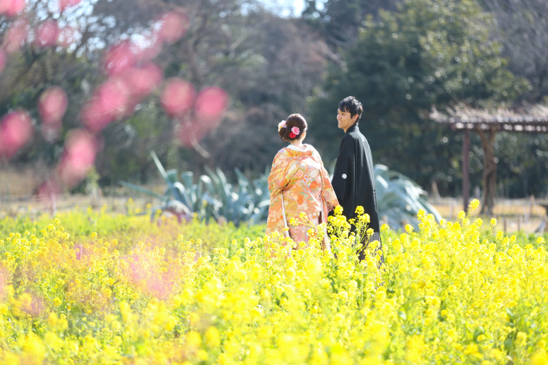 Angel Studio 新宿_庭園で撮影できる