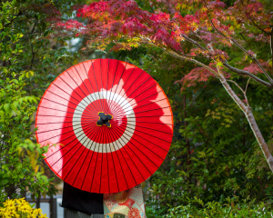 Angel Studio 新宿_東郷神社