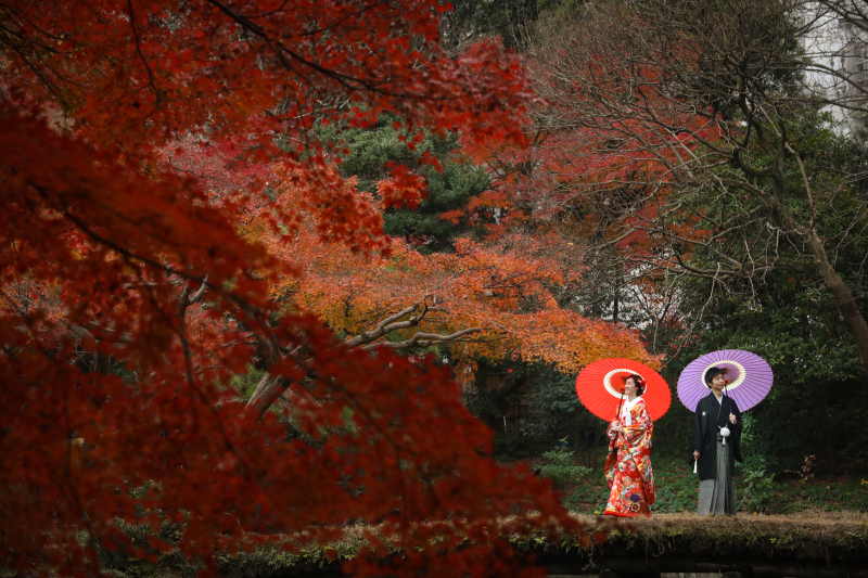 年に一度の特別な瞬間を