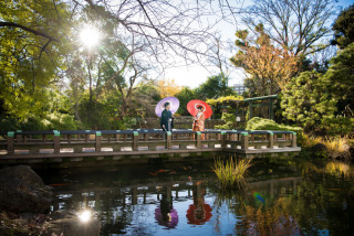 Angel Studio 新宿_東郷神社