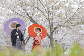 Angel Studio 新宿_SAKURA Photo
